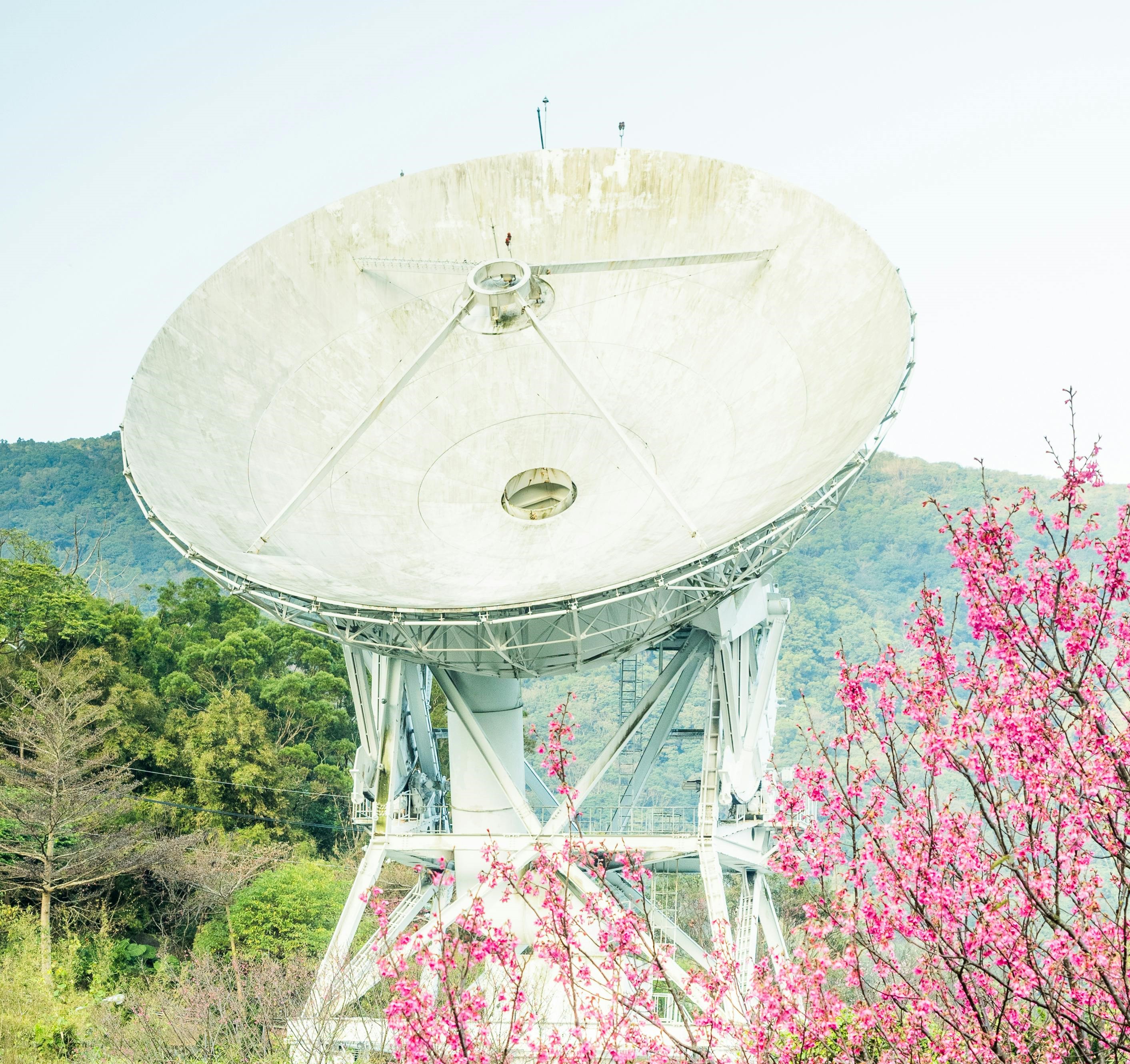 Satellite & TV